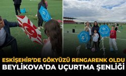 Eskişehir'de Gökyüzü Rengarenk Oldu: Beylikova’da Uçurtma Şenliği
