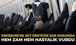 Eskişehir’de Süt Üreticisi Zor Durumda: Hem Zam Hem Hastalık Vurdu