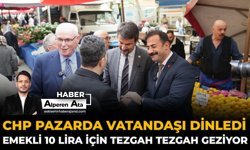 CHP Pazarda Vatandaşı Dinledi:Emekli 10 Lira İçin Tezgah Tezgah Geziyor