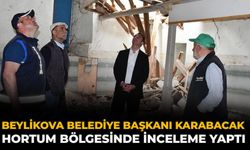 Beylikova Belediye Başkanı Karabacak Hortum Bölgesinde İnceleme Yaptı
