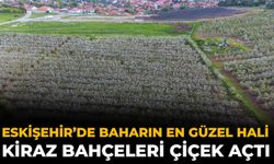 Eskişehir’de Baharın En Güzel Hali: Kiraz Bahçeleri Çiçek Açtı