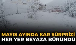 Mayıs Ayında Kar Sürprizi: Her Yer Beyaza Büründü