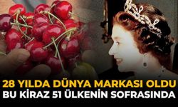 28 Yılda Dünya Markası Oldu: Bu Kiraz 51 Ülkenin Sofrasında