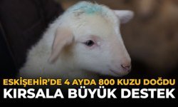 Eskişehir’de 4 Ayda 800 Kuzu Doğdu: Kırsala Büyük Destek