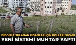Bidonla Sulanan Fidanlar İçin Kolları Sıvadı: Yeni Sistemi Muhtar Yaptı