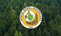 6 Şehirde 92 Kadro Açıldı: Milli Parklara Alım Başladı! İşte Başvuru Şartları