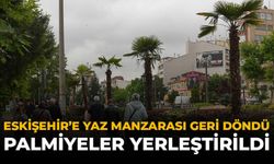 Eskişehir'e Yaz Manzarası Geri Döndü: Palmiyeler Yerleştirildi