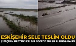 Eskişehir Sele Teslim Oldu: Çiftçinin Ürettikleri Bir Gecede Sular Altında Kaldı