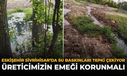 Eskişehir Sivrihisar’da Su Baskınları Tepki Çekiyor: “Üreticimizin Emeği Korunmalı”