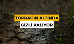 İnsan Burnu Bu Kokuyu Trilyonda 5 Parçayla Bile Algılıyor