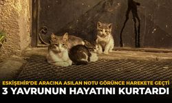 Eskişehir'de Aracına Asılan Notu Görünce Harekete Geçti: 3 Yavrunun Hayatını Kurtardı