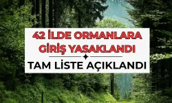 Hangi İllerde Ormanlara Giriş Yasak? Liste 42'ye Çıktı