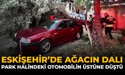 Eskişehir’de Ağacın Dalı Park Halindeki Otomobilin Üzerine Düştü
