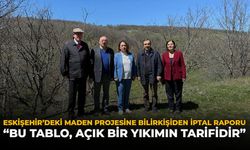 Eskişehir'deki Maden Projesine Bilirkişiden İptal Raporu: "Bu Tablo, Açık Bir Yıkımın Tarifidir"