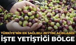 En Sağlıklı Zeytin Açıklandı: Siyah Mı Yeşil Mi Derken Cevap Bambaşka