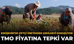 Eskişehir'de Çiftçi Üretimden Çekilmeyi Konuşuyor: TMO Fiyatına Tepki Var