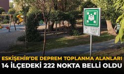 Eskişehir'de Deprem Toplanma Alanları: 14 İlçedeki 222 Nokta Belli Oldu