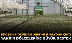 Eskişehir'de Fidan Üretimi 6 Milyona Çıktı: Yangın Bölgelerine Büyük Destek