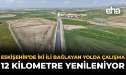 Eskişehir'de İki İli Bağlayan Yolda Çalışma: 12 Kilometre Yenileniyor