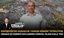 Eskişehir’de Kuraklık Yangın Riskini Tetikliyor: Orman İçi Enerji Hatlarının Güncel Planı Hala Yok!