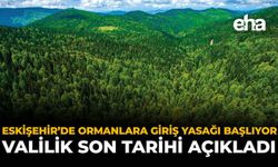 Eskişehir'de Ormanlara Giriş Yasağı Başlıyor: Valilik Son Tarihi Açıkladı