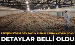 Eskişehir'deki Dev Tavuk Firmalarına Kayyum Şoku: Detaylar Belli Oldu