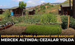 Eskişehir'de 40 Tarım Alanındaki Hobi Bahçeleri Mercek Altında: İşte Cezalar