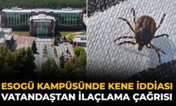 ESOGÜ Kampüsünde Kene İddiası: Vatandaştan İlaçlama Çağrısı