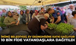 İnönü Belediyesi, Ev Ekonomisine Katkı Sağlıyor: 10 Bin Fide Vatandaşlara Dağıtıldı