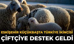 Eskişehir Küçükbaşta Türkiye İkincisi: Çiftçiye Yeni Destek Geldi