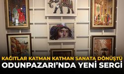Kağıtlar Katman Katman Sanata Dönüştü: Odunpazarı'nda Yeni Sergi