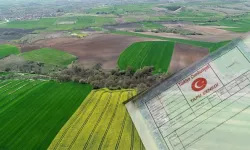 Onlarca Taşınmaz Birden Satıldı: Bedeller Milyonları Buldu