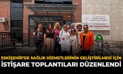 Eskişehir’de Sağlık Hizmetlerinin Geliştirilmesi İçin İstişare Toplantıları Düzenlendi
