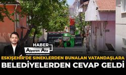 Eskişehir'de Sineklerden Bunalan Vatandaşlara Belediyelerden Cevap Geldi