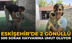 Eskişehir’de 2 Gönüllü Yaklaşık 500 Sokak Hayvanına Umut Oluyor