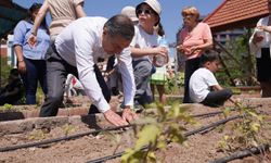 Tepebaşı'nda Fideler Toprakla Buluştu