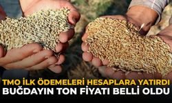 Çiftçinin Beklediği Ödeme Başladı: TMO Hesaplara Para Yatırmaya Başladı