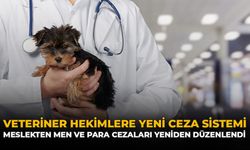 Veteriner Hekimlere Yeni Ceza Sistemi: Meslekten Men ve Para Cezaları Yeniden Düzenlendi