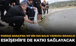 Porsuk Barajı'na 107 Bin 500 Balık Yavrusu Bırakıldı: Eskişehir'e de Katkı Sağlayacak