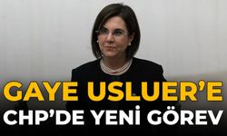 Gaye Usluer’e CHP’de Yeni Görev