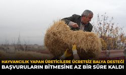 Hayvancılık Yapan Üreticilere Ücretsiz Balya Desteği: Buşvuruların Bitmesine Az Bir Süre Kaldı