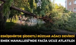 Eskişehir’de Şiddetli Rüzgar Ağacı Devirdi: Emek Mahallesi’nde Facia Ucuz Atlatıldı