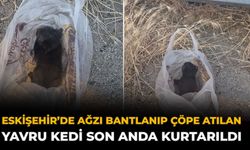 Eskişehir’de Ağzı Bantlanıp Çöpe Atılan Yavru Kedi Son Anda Kurtarıldı