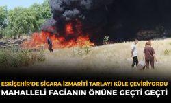 Eskişehir’de Sigara İzmariti Tarlayı Küle Çeviriyordu: Mahalleli Facianın Önüne Geçti