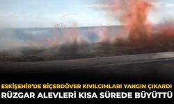 Eskişehir’de Biçerdöver Kıvılcımları Yangın Çıkardı: Rüzgar Alevleri Kısa Sürede Büyüttü