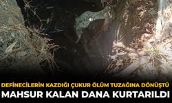 Definecilerin Kazdığı Çukur Ölüm Tuzağına Dönüştü: Mahsur Kalan Dana Kurtarıldı