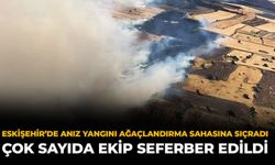 Eskişehir’de Anız Yangını Ağaçlandırma Sahasına Sıçradı: Çok Sayıda Ekip Seferber Edildi