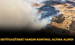 Seyitgazi’deki Yangın Kontrol Altına Alındı