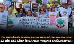Tüm Emeklilerin Sendikası'ndan Maaş Düzenlemesine Tepki: 23 Bin 552 Lira İnsanca Yaşam Sağlamıyor