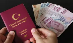 Türkiye'den Her Yıl 30 Bin Ziyaretçi Alıyor: Vize Şartları Değişti